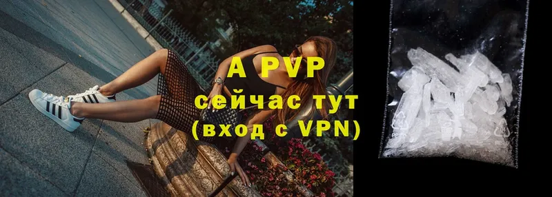 закладки  Пудож  A-PVP СК КРИС 